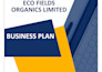 prepare investor ready business plan for startups, and sba business plan